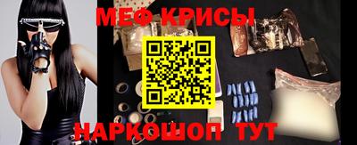 стаф Кинель
