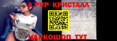 стаф Кинель