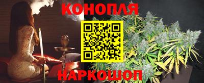 стаф Кинель